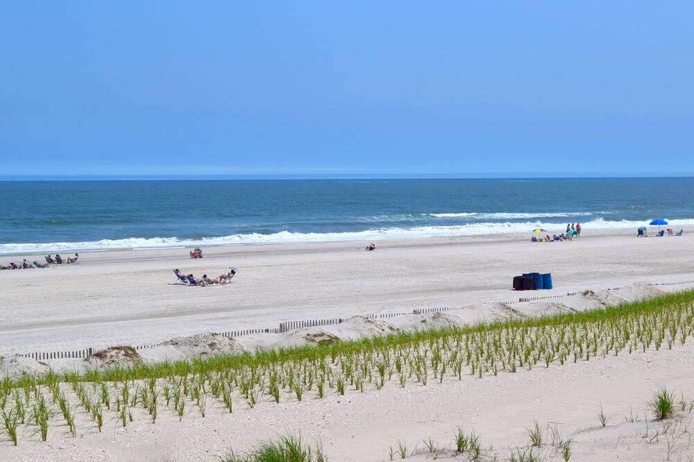 Photo of Others in Townsend's Inlet