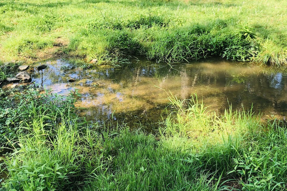 Photo of Outdoor in Keedysville