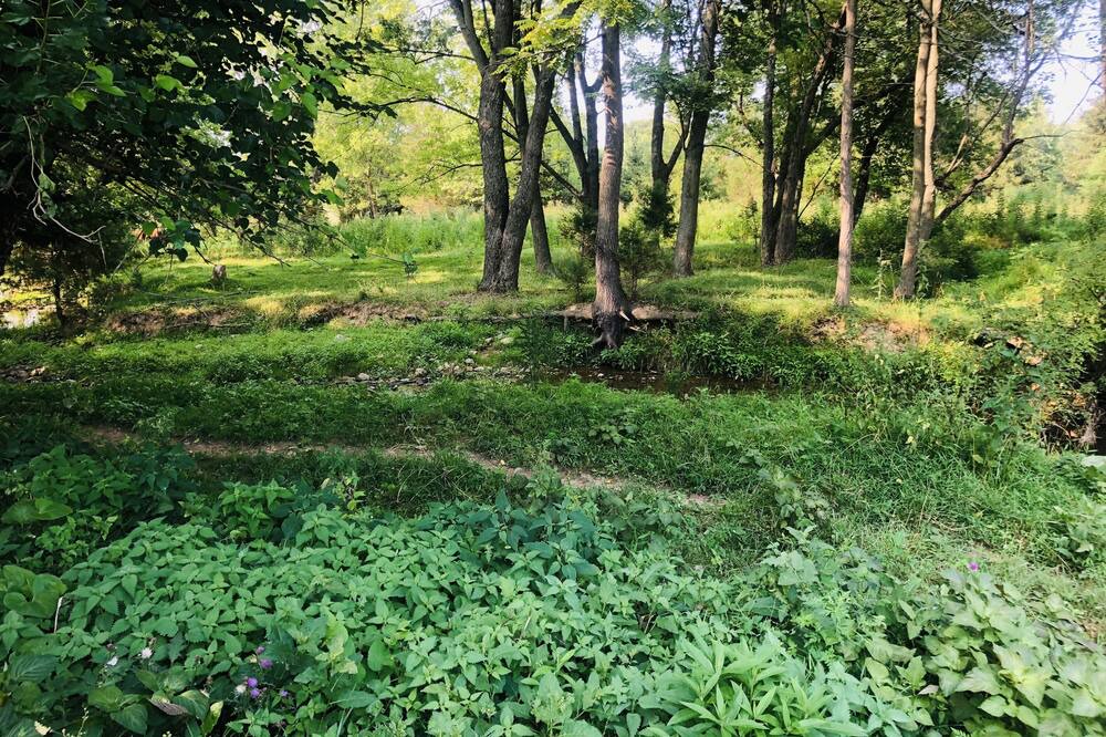 Photo of Outdoor in Keedysville