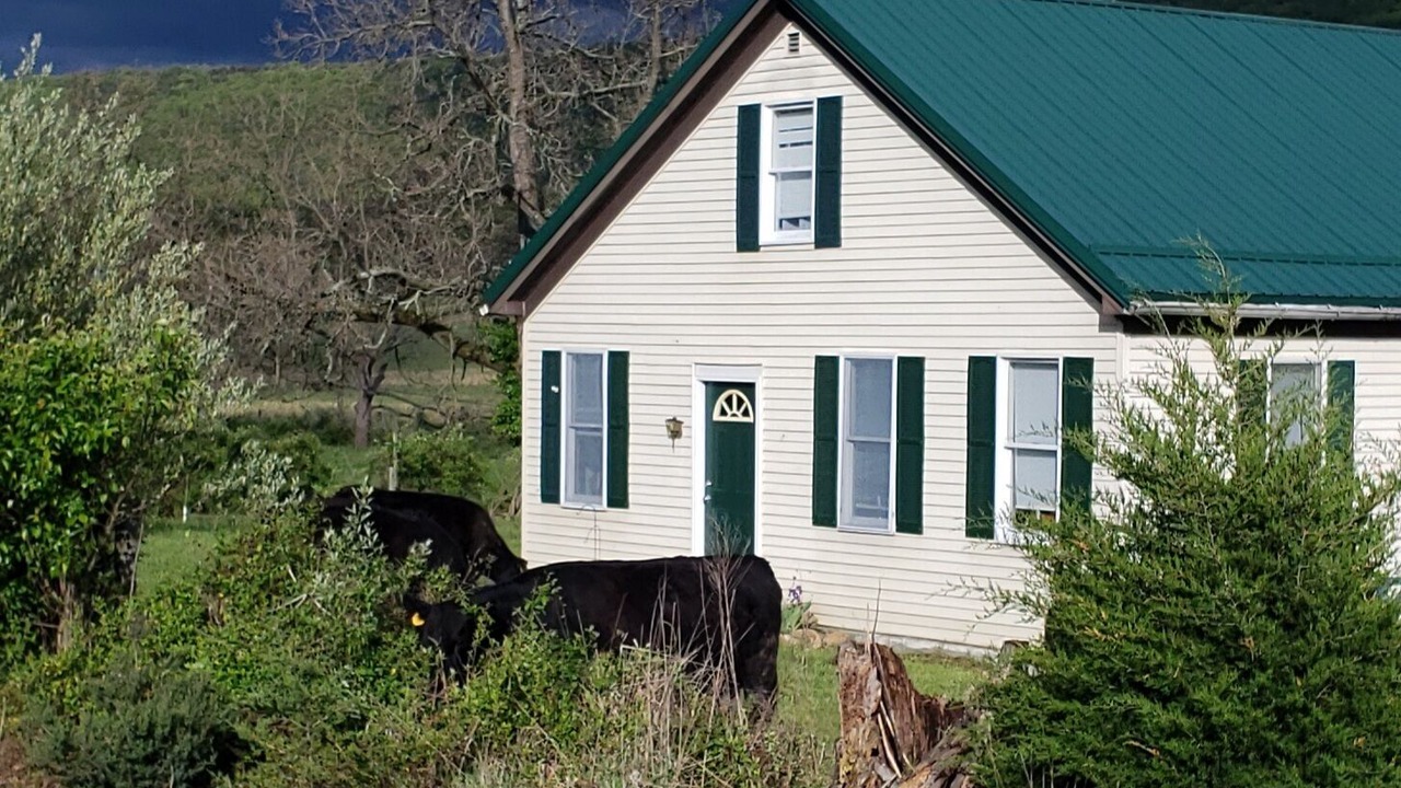 Photo of Outdoor in Green Spring