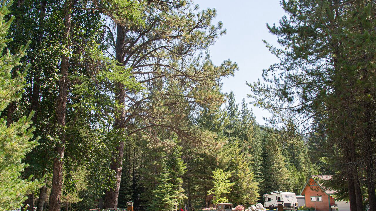 Photo of Outdoor in Priest River