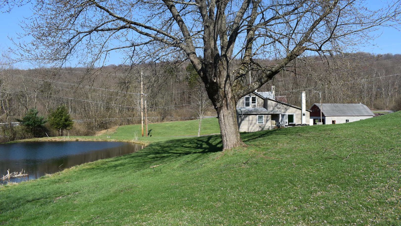 Photo of Outdoor in James Creek