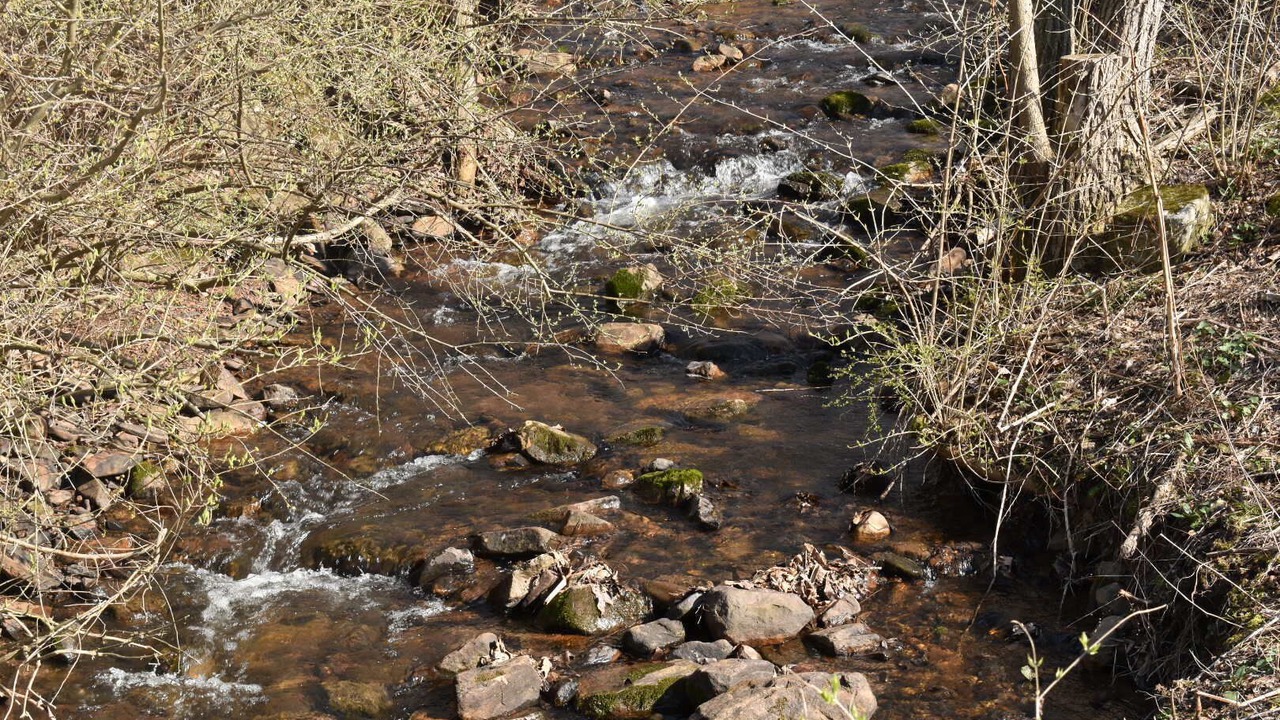 Photo of Outdoor in James Creek