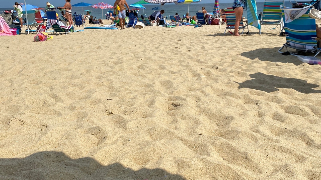 Photo of Others in Sea Girt