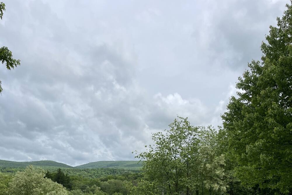 Photo of Outdoor in Jones Mills