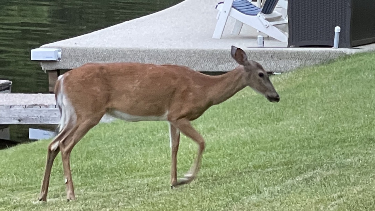 Photo of Outdoor in Treasure Lake