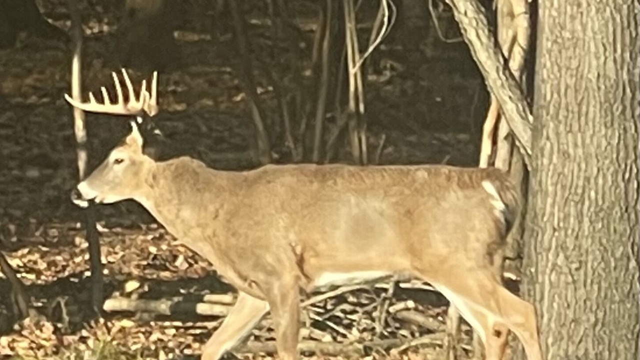 Photo of Outdoor in Treasure Lake