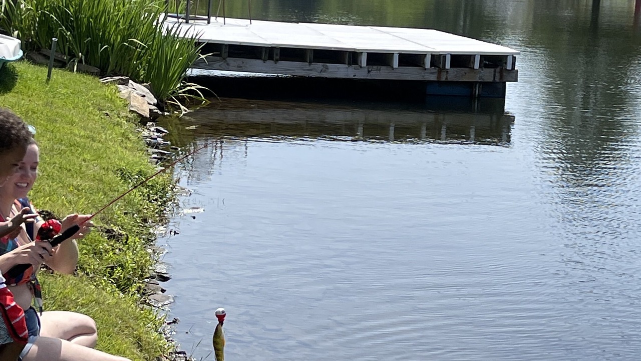 Photo of Outdoor in Treasure Lake