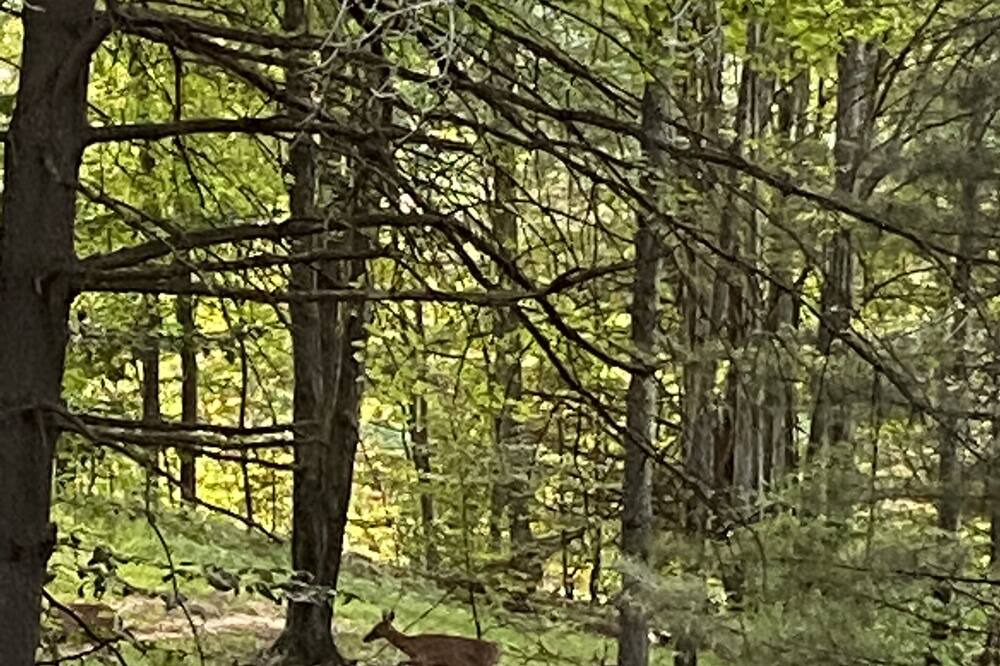 Photo of Outdoor in Weedville