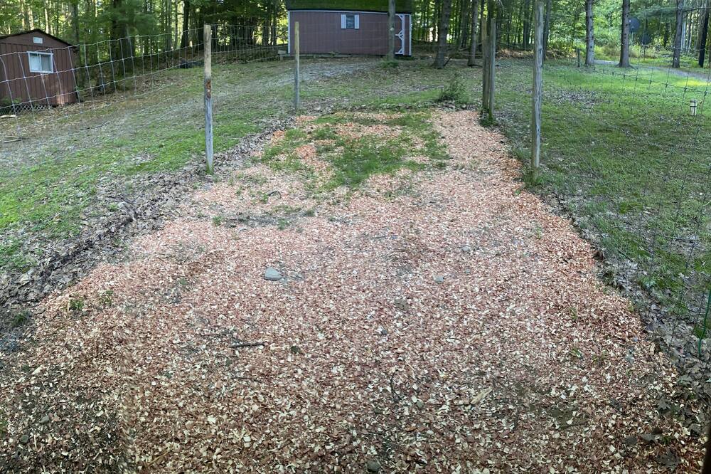 Photo of Outdoor in Weedville