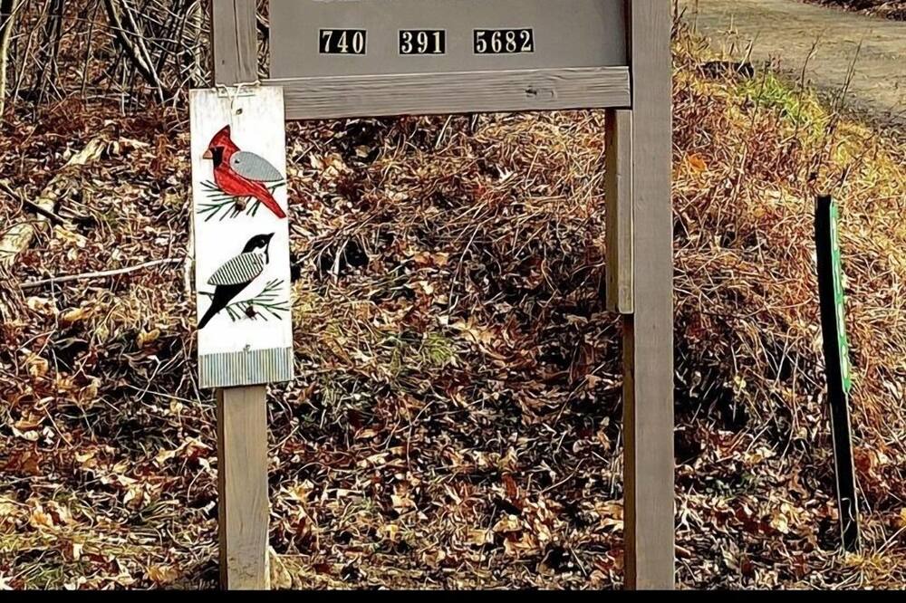 Photo of Outdoor in Weedville