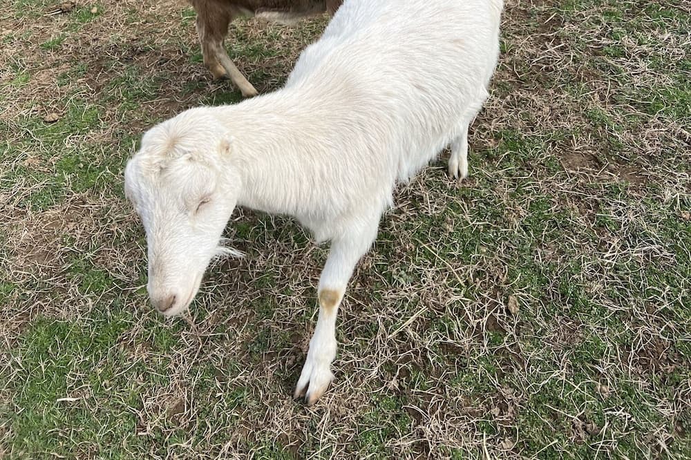Photo of Outdoor in Keedysville