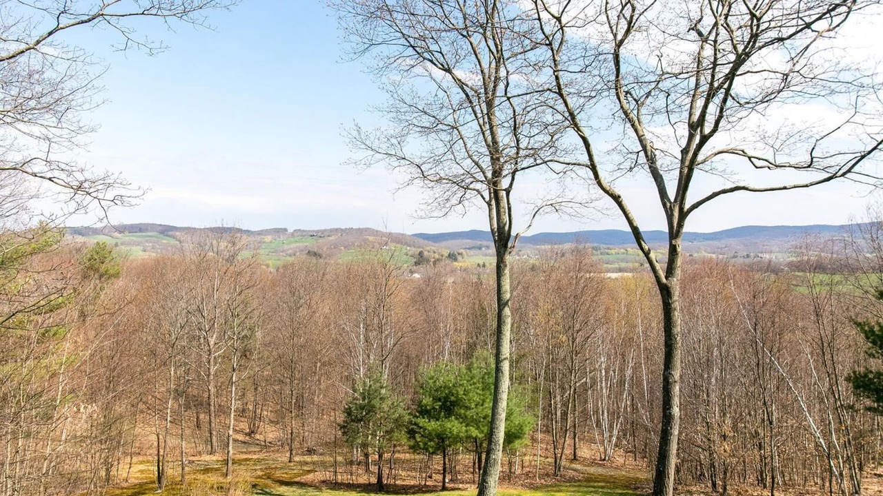 Photo of Outdoor in Copake Lake