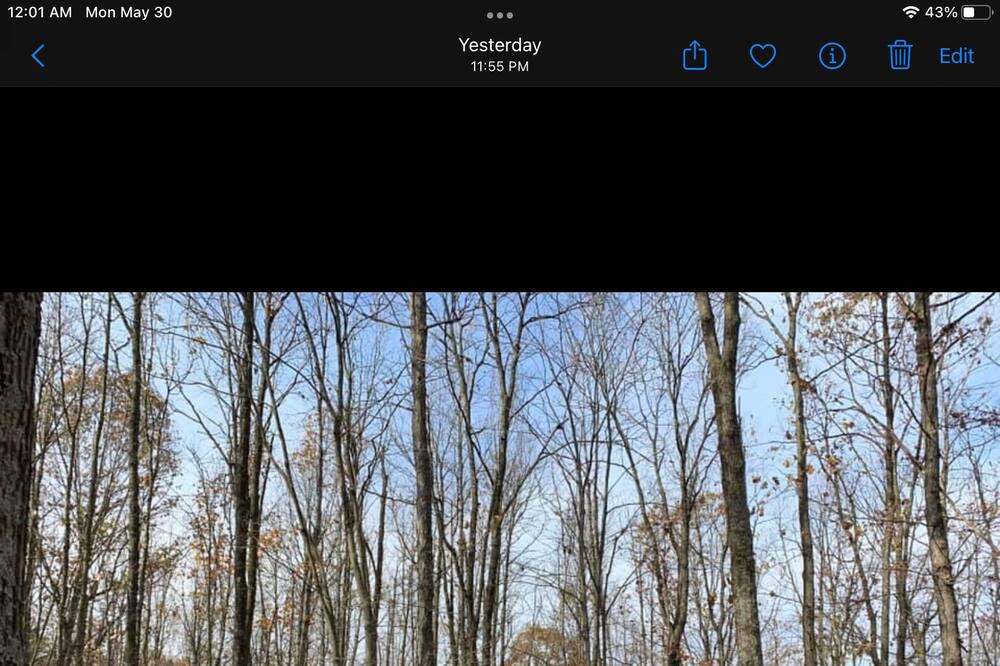 Photo of Others in Loysville