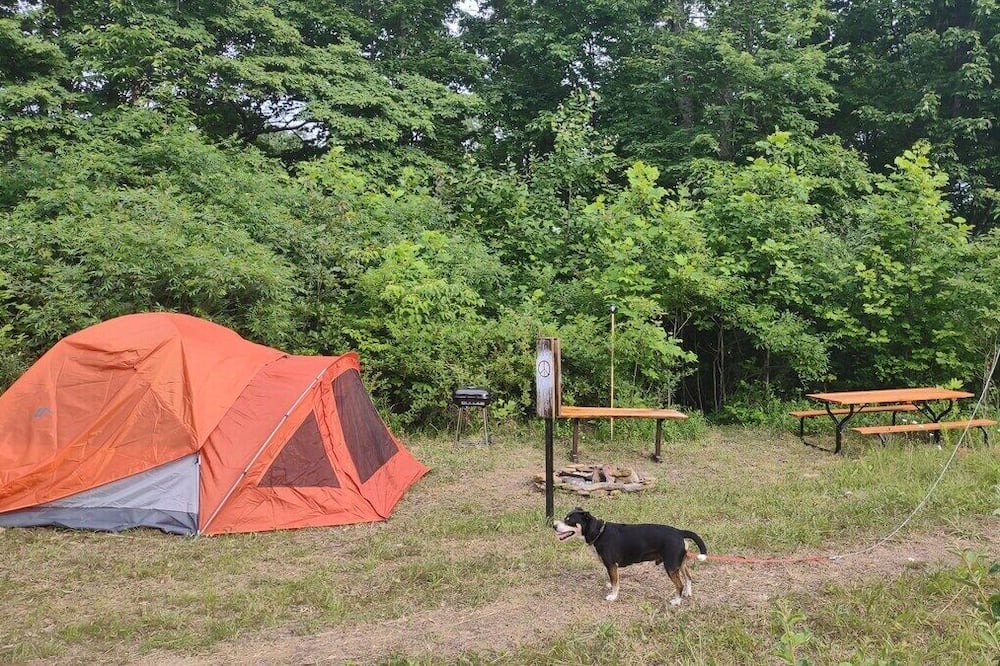 Photo of Others in Laurelville
