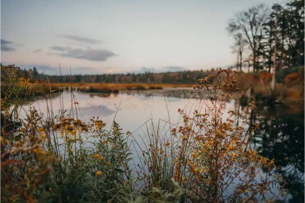 Photo of Others in Parksville
