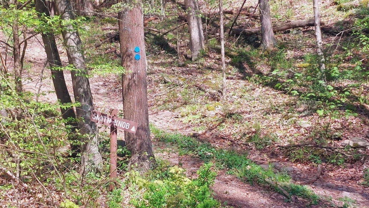 Photo of Outdoor in Bodines