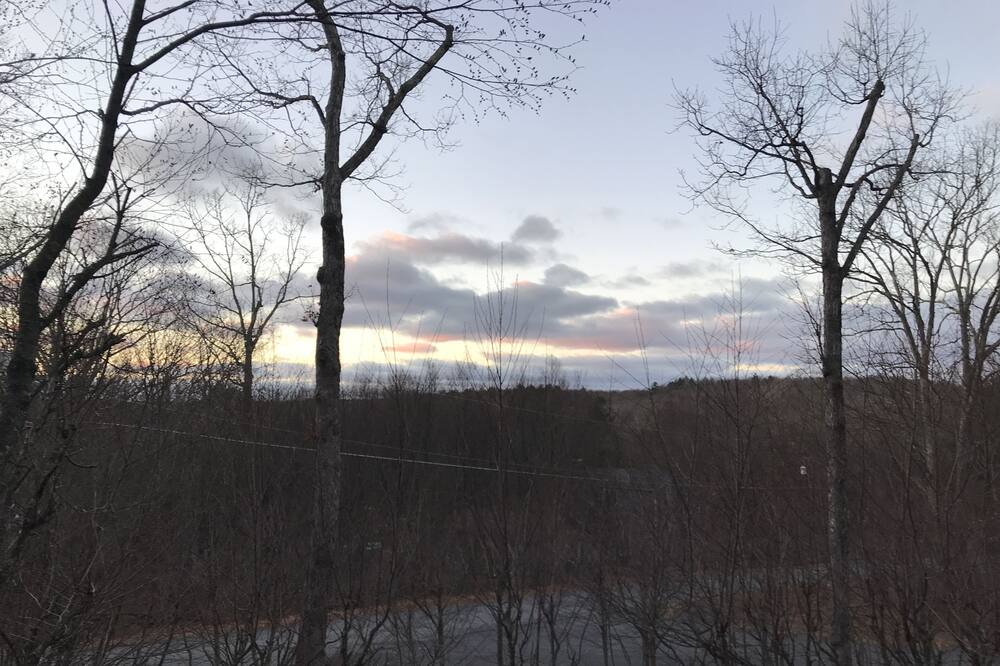Photo of Others in Lackawaxen