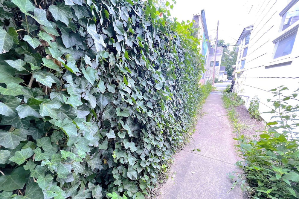 Photo of Others in Red Bank