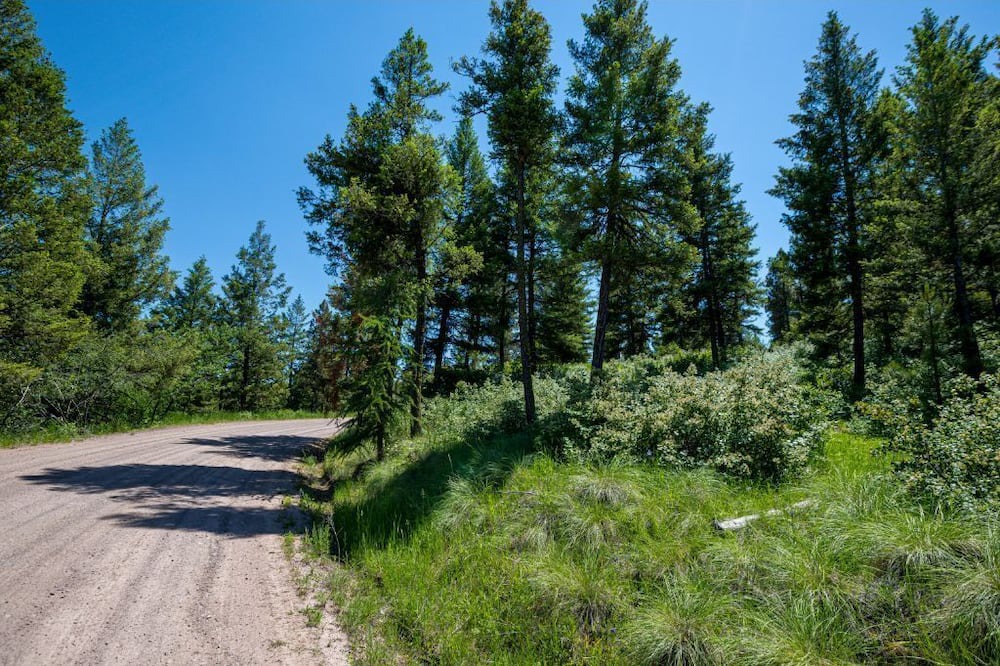 Photo of Outdoor in Missoula