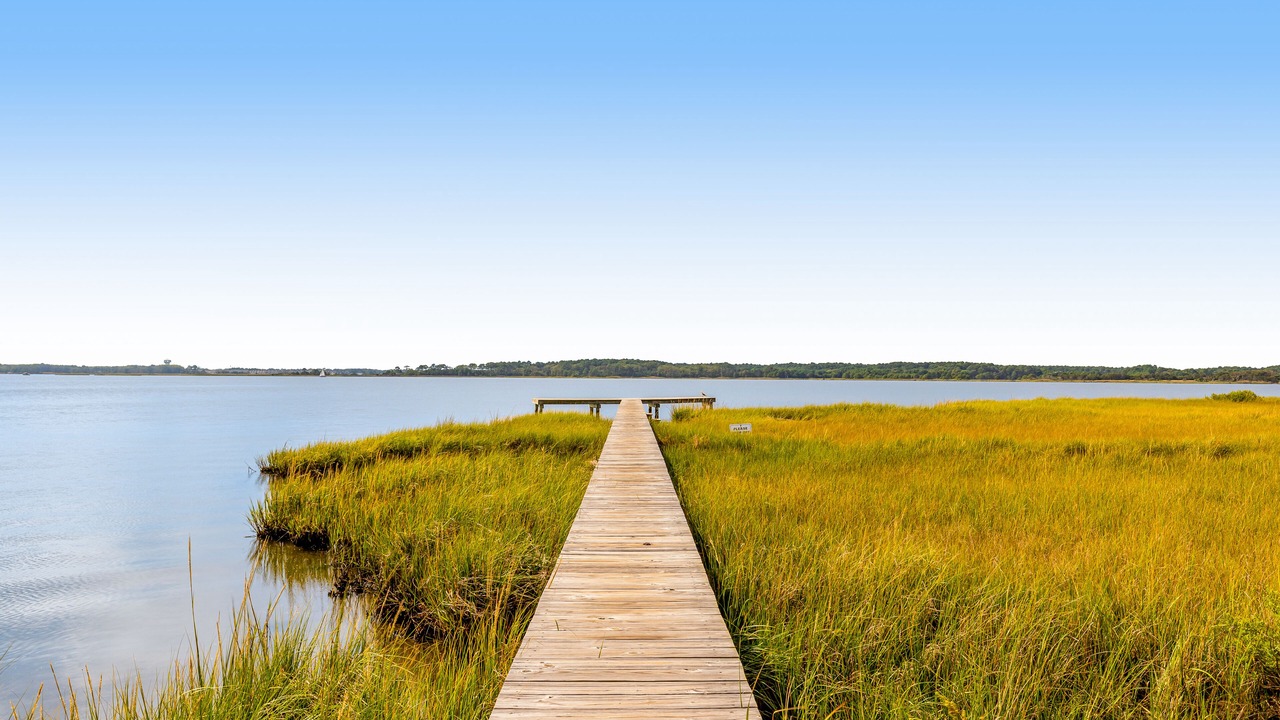Photo of Others in Fenwick Island