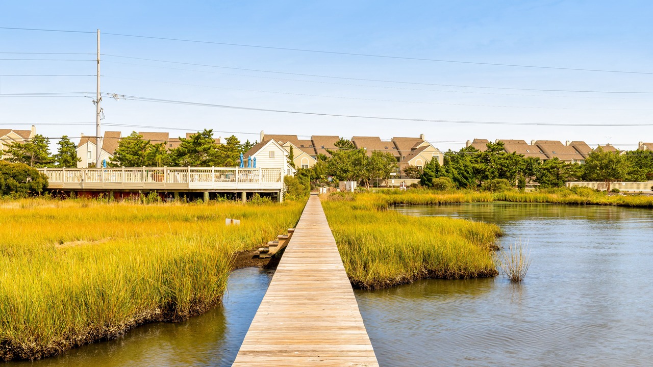 Photo of Others in Fenwick Island