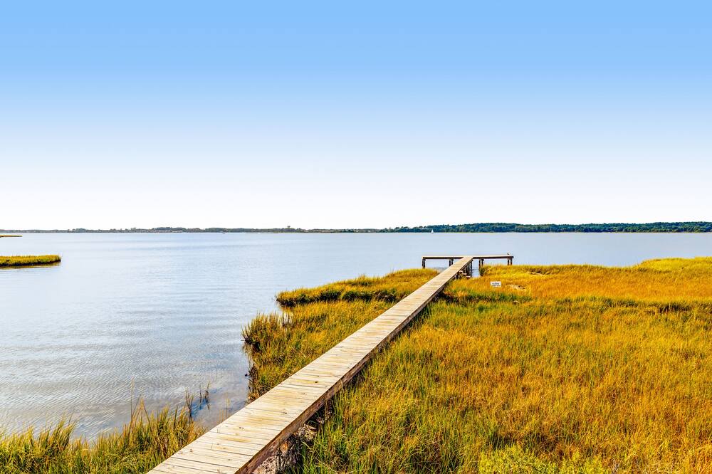 Photo of Outdoor in Fenwick Island