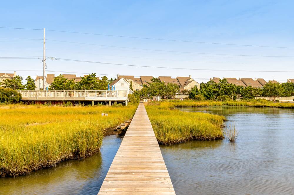 Photo of Others in Fenwick Island