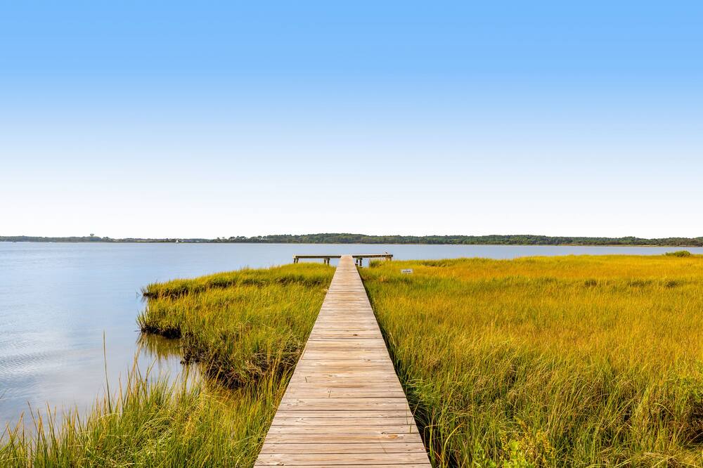 Photo of Others in Fenwick Island