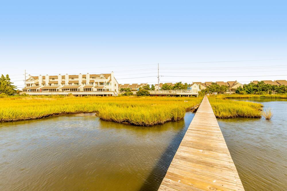 Photo of Others in Fenwick Island