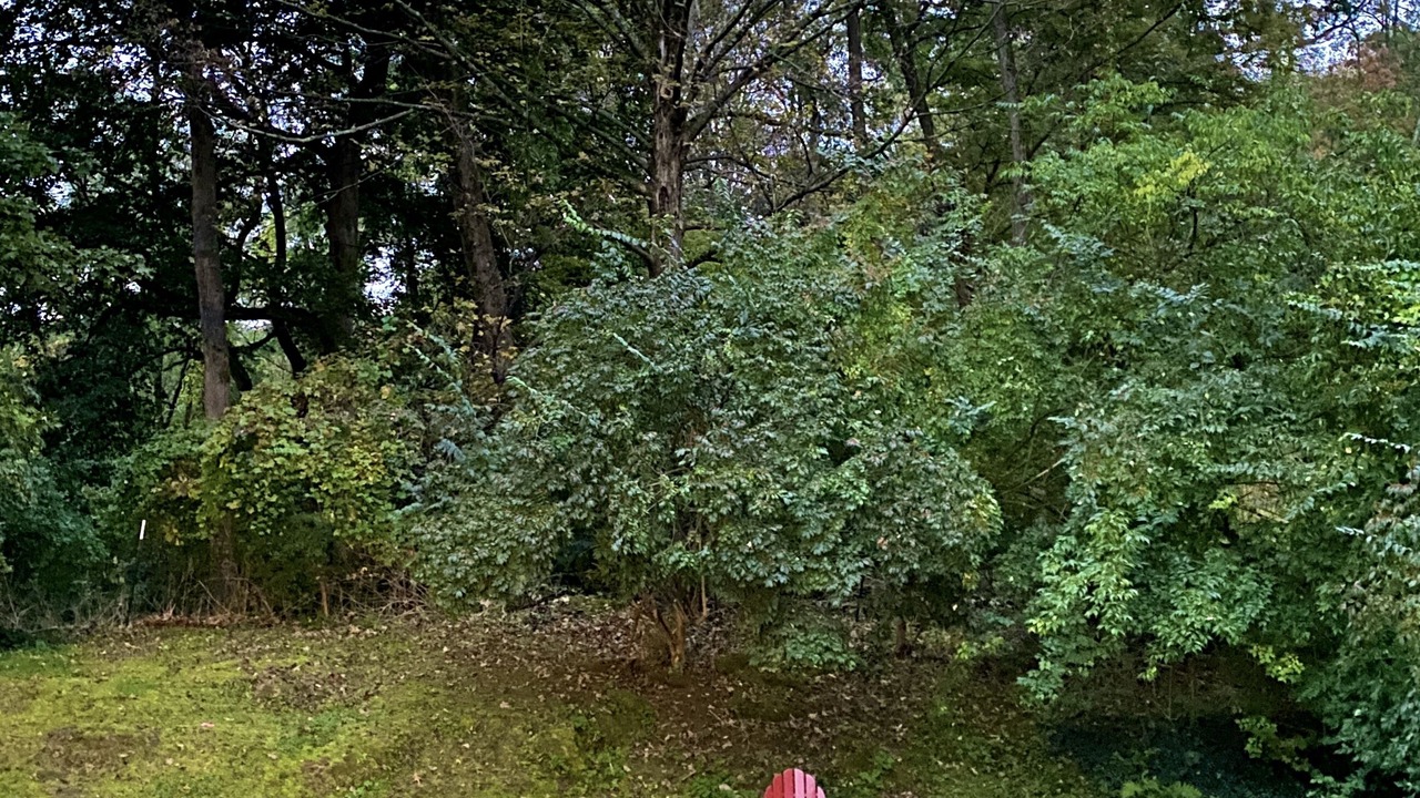 Photo of Outdoor in Poughkeepsie