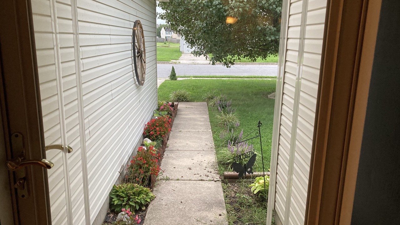 Photo of Outdoor in Dover