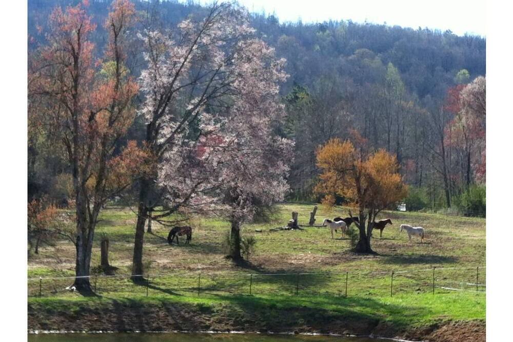 Photo of Outdoor in Ooltewah