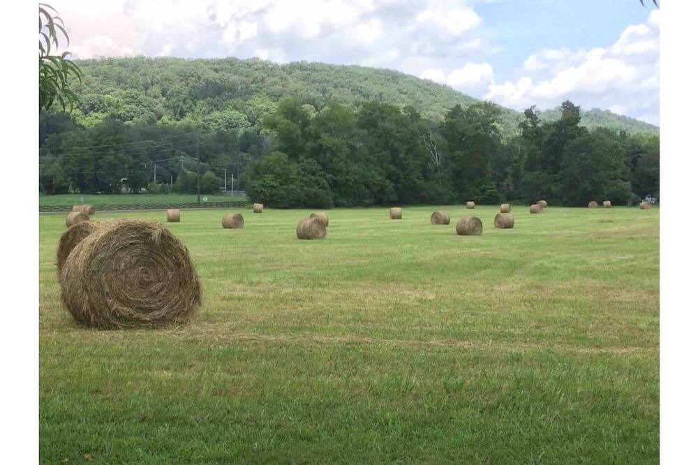 Photo of Outdoor in Ooltewah
