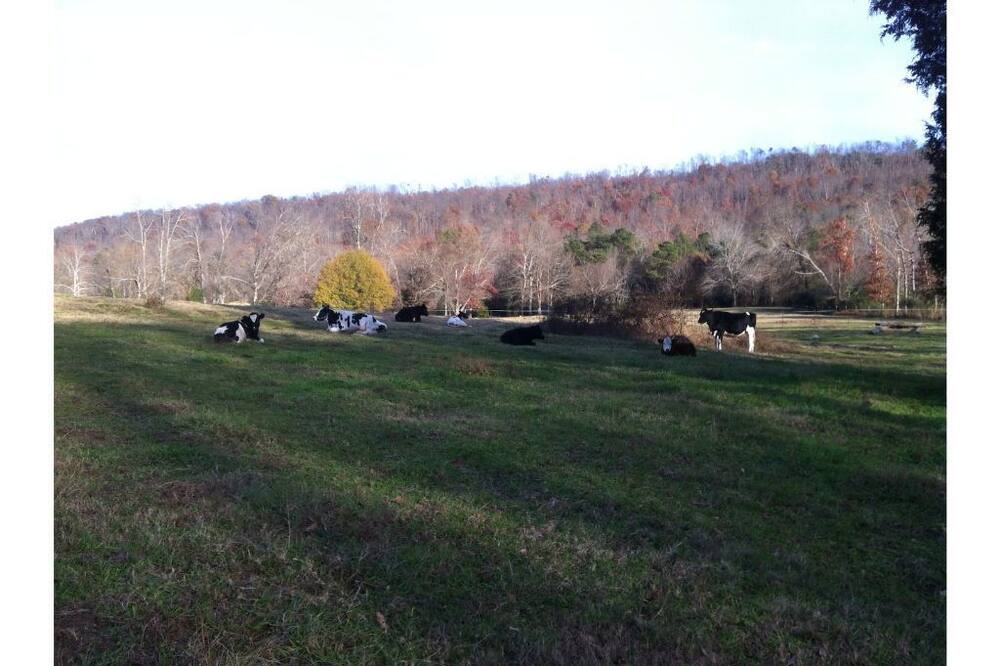 Photo of Outdoor in Ooltewah