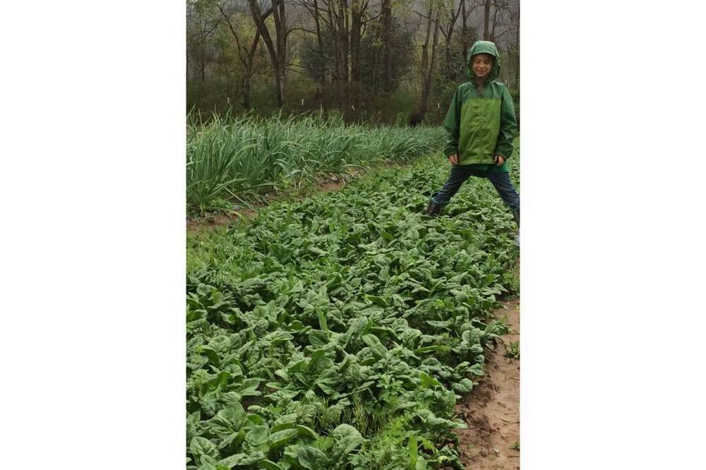 Photo of Outdoor in Ooltewah
