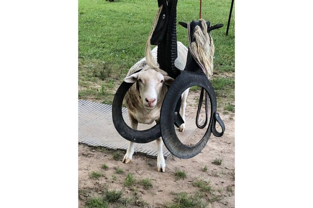 Photo of Others in Ooltewah