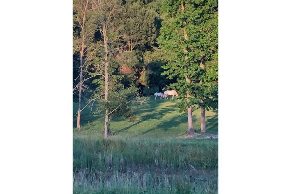 Photo of Others in Ooltewah