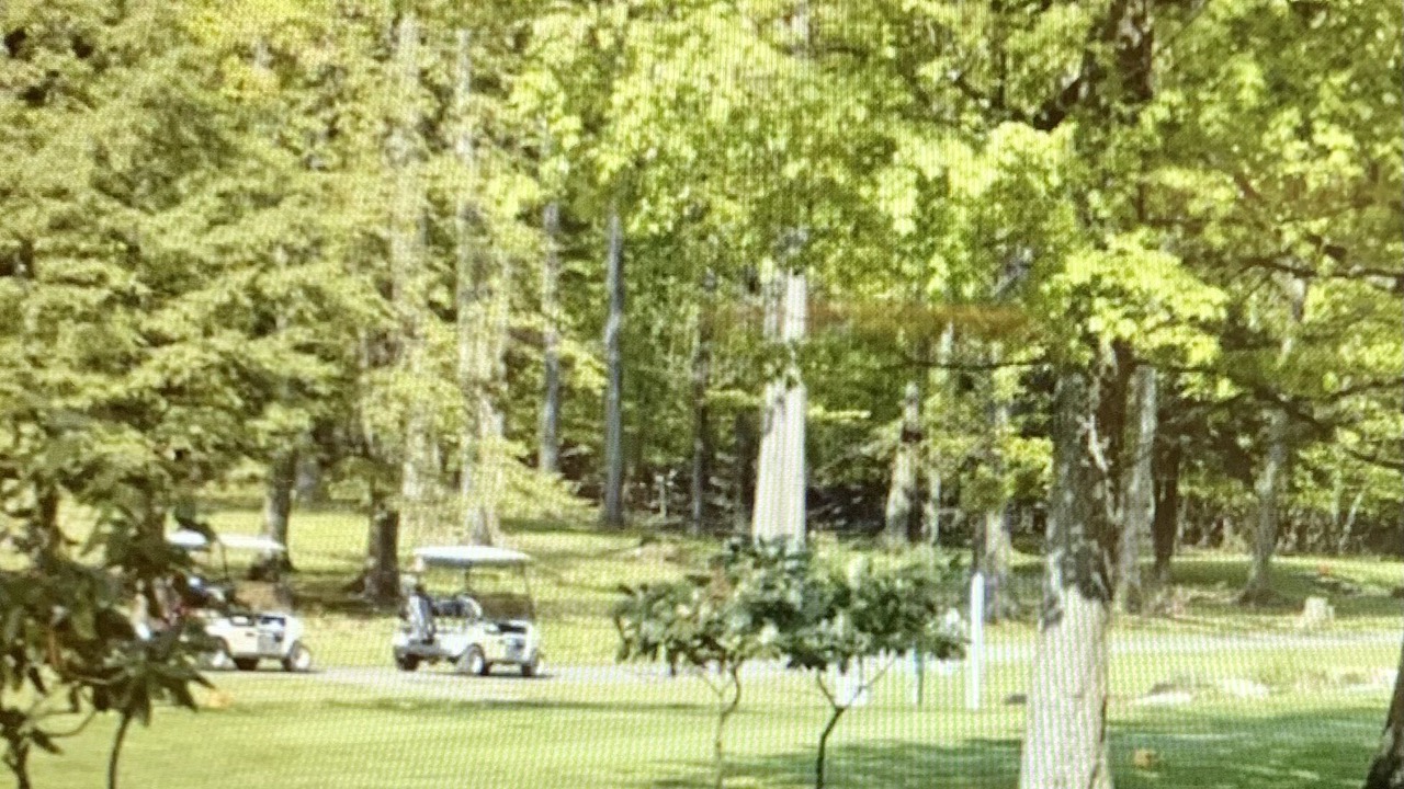 Photo of Others in Treasure Lake