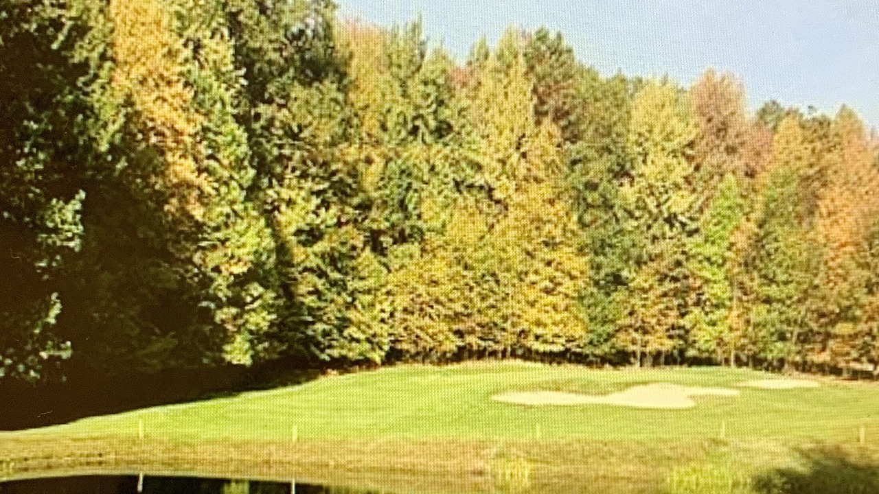 Photo of Others in Treasure Lake