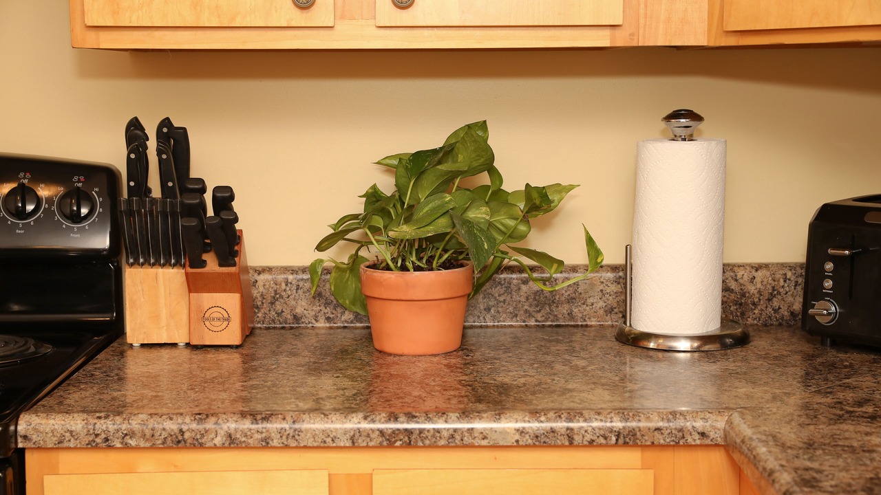 Photo of Kitchen in Seebert
