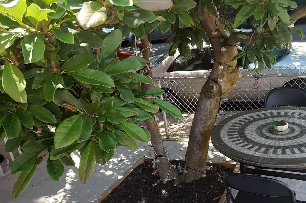 Photo of Outdoor in Olney-Oak Lane