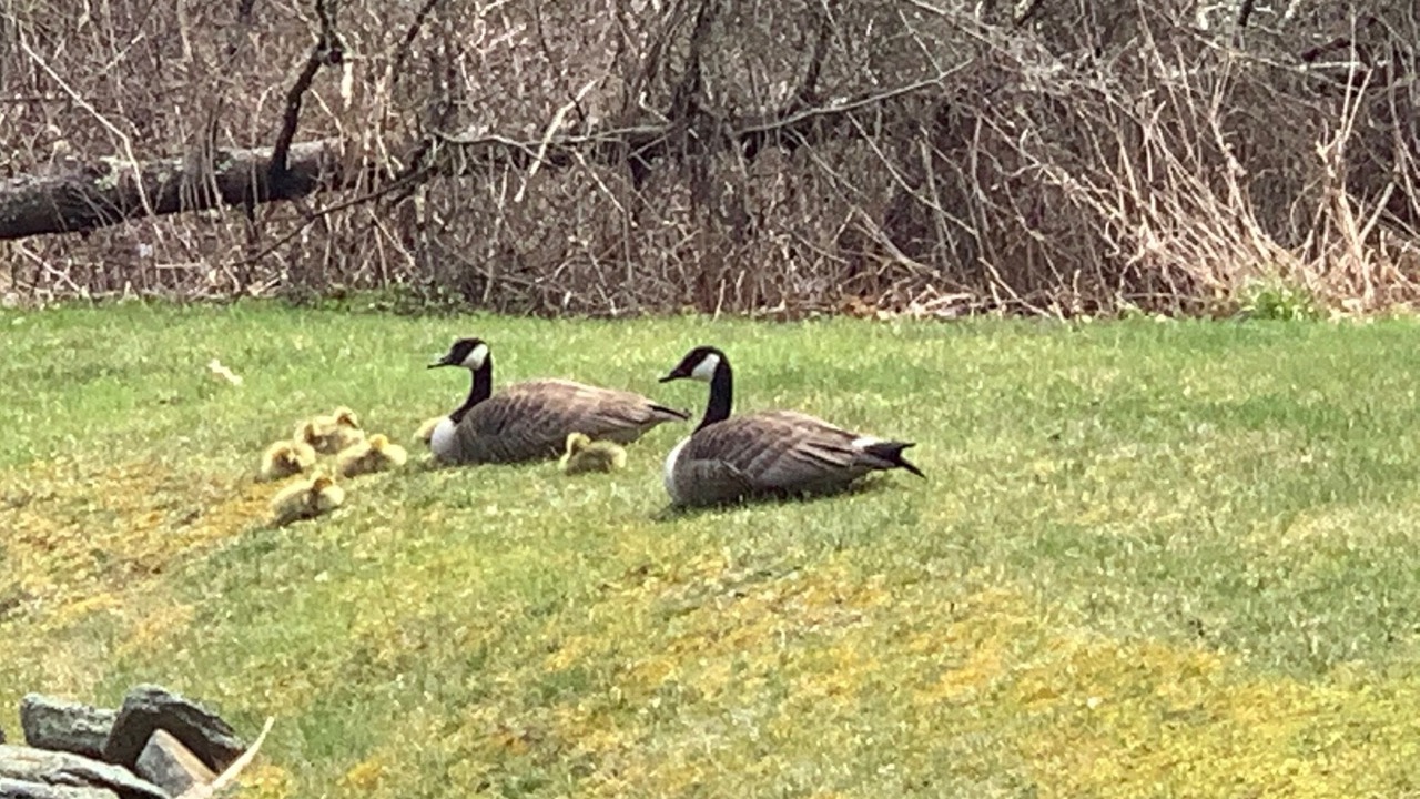 Photo of Outdoor in New Preston