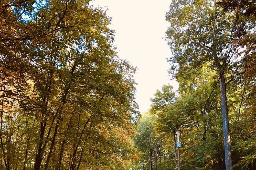 Photo of Outdoor in Pocono Mountain Lake