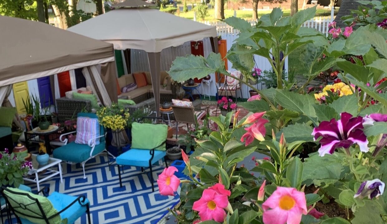 Photo of Outdoor in Englewood