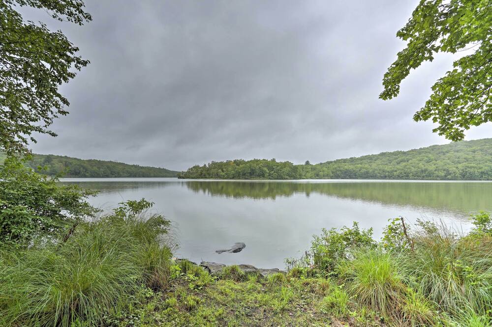 Photo of Outdoor in Swan Lake