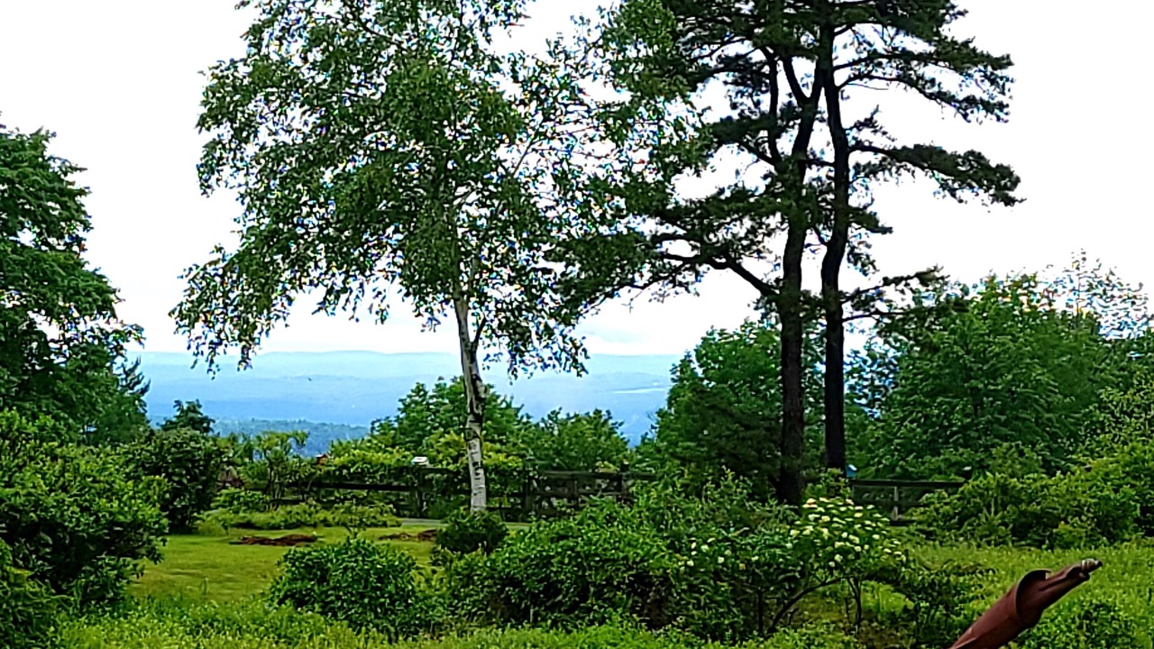 Photo of Outdoor in Cragsmoor