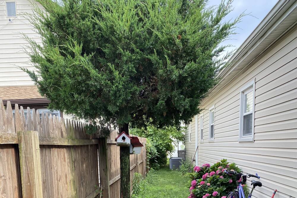 Photo of Outdoor in Keansburg