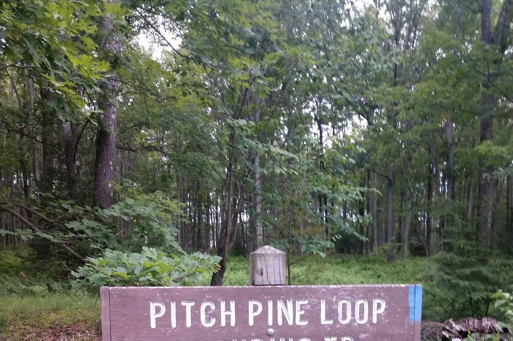 Photo of Outdoor in Lock Haven