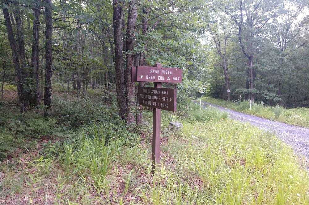 Photo of Outdoor in Lock Haven